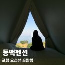 동백전자에어컨 | 포항 동백펜션 오션뷰 숙소, 바다 보며 먹고 쉬었던 하루