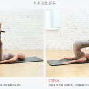 바디서클 이미지