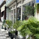 삼원온누리약국 이미지