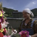 삼촌유통 | [공지] 전국 어디든 화환 보내는 방법? 삼식이삼촌 이용 안내 및 FAQ