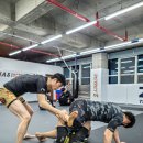 아레나주짓수 이미지