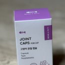 포캣 | 본아페티 고양이 노령묘 관절 영양제 조인트캡스포캣 후기