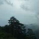 법전경로당 | 늦은여름, 강릉게스트하우스 3호점 오션마리나 방문기 - 파티 투나잇 - #1 (2015.09.02)