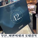 부산 어른도 반한 비엔씨제과 롯데광복점 빵 이야기