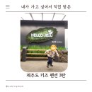 봉봉키즈 | 제주도 키즈펜션 3탄, 직접 고른 아이와 가고 싶은 키즈 독채 펜션 리스트