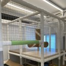 언양쭈꾸미 이미지