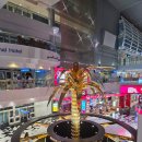 라운지 | 두바이 공항 에미레이트 비즈니스 라운지 후기