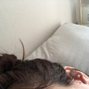 수출대로-15 이미지