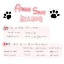 아로하스토리 이미지