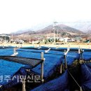 금계1리 이미지