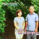 장터발전소 이미지