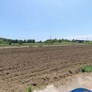 이제이공인중개사사무소 이미지