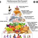 diet (다이어트, 식이요법, ((음식량을) 떼었다) 어원 이미지