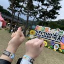 김밥파는사람들(경대정문점) | 2025 김천 김밥축제 당일치기｜셔틀·맛집·분위기 그대로