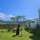 온화한가(온송) 이미지