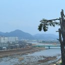 황룡강펜션게스트하우스 네이버블로그