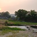 왕숙천고향의강 이미지