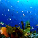 즐거운시간 이미지