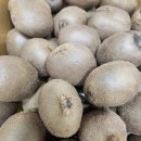 참다래농장 | 참다래 3키로 포장 새로 준비했어요.