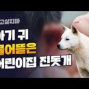 고사성어 유래＜63＞目不忍見(목불인견) 이미지