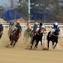 경마공원 이미지