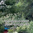 울산 어물동 마애약사여래삼존상 이미지