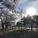 오쏘(OSSO)