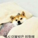 향기나빨래방 | 당근 청소알바 후기 (교대근무자의 투잡)