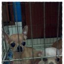 패밀리와와 이미지