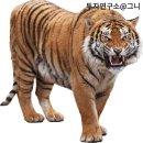 마리나여관 이미지