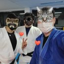 아산배방 유도관 이미지