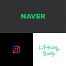 빅트리(Bigtree) 이미지