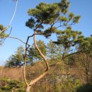 지리산농장 이미지