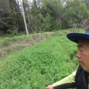 청전농장 이미지