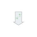 제갈콩명 - 동구 | 제갈콩명