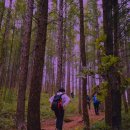 강따라 민박 이미지