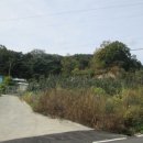 최선목장 이미지