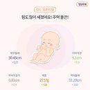 목포미래병원 | 임신 34주 35주 36주 임산부왁싱 부종 혈관돌출 튼살관리 출산가방 태동검사 막달건강루틴