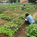 양수농장2 이미지