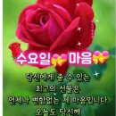 8월19일 수요일 전체 출석부~^^ 이미지