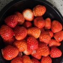 영순농장 | 🍓 문경 영순 딸기 농장 후기 (리얼 방문 후기