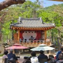 조아조아7080라이브 | 강강술래 늘봄농원점 내돈내산 솔직후기 (어버이날 가족모임)