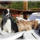 그랑샤리오 이미지