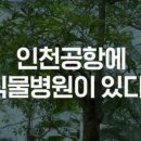 공감조경나무병원