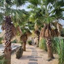 반석 카 서비스 이미지