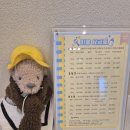 강아지 미용실 이미지