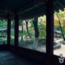 왕의 정원 이미지