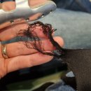 둔둔축산 이미지