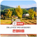 장현농원 | 가을여행 추천 온통 노란색의 보령 은행마을에서 힐링 여행하세요