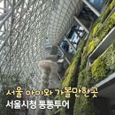 서울 아이와 가볼만한곳 무료 체험 추천 서울시청 통통투어